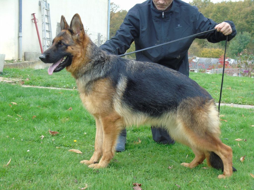 Maeva du Loup au Grand Coeur